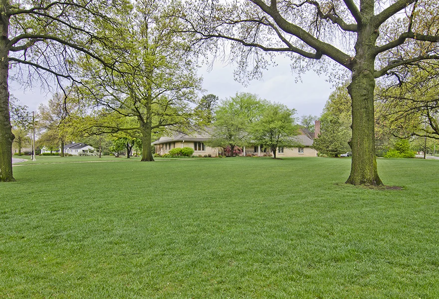 #31 E. Norfolk photo 1